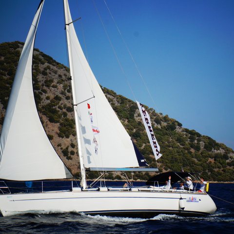 Yarış hâlinde yelkenli
